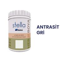 BİANCA STELLA BOYA 1LT ANTRASİT GRİ