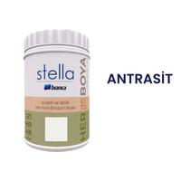 BİANCA STELLA BOYA 1LT ANTRASİT